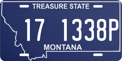 MT license plate 171338P