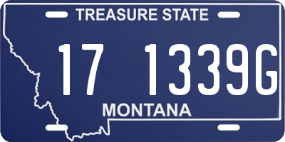 MT license plate 171339G