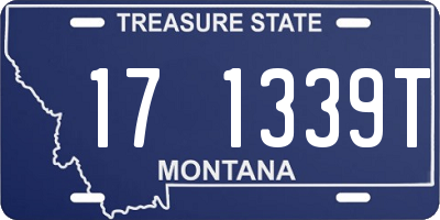 MT license plate 171339T
