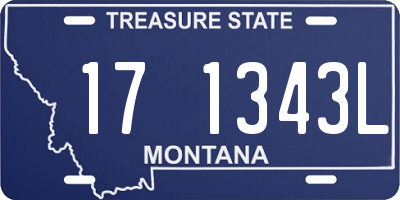 MT license plate 171343L