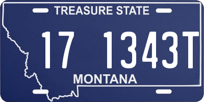 MT license plate 171343T