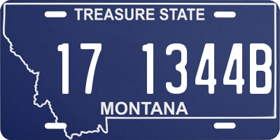 MT license plate 171344B