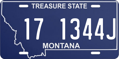 MT license plate 171344J