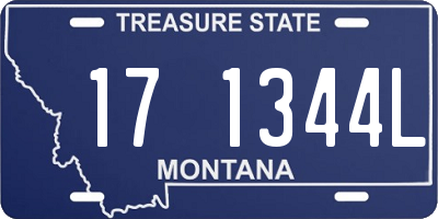 MT license plate 171344L