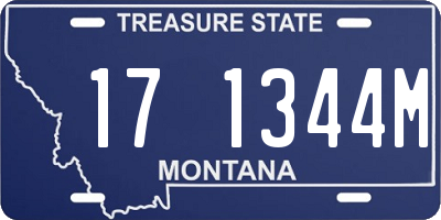 MT license plate 171344M
