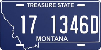 MT license plate 171346D