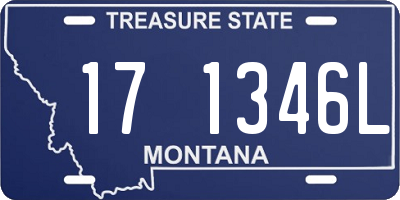MT license plate 171346L