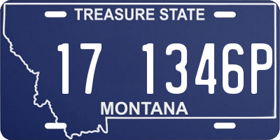 MT license plate 171346P