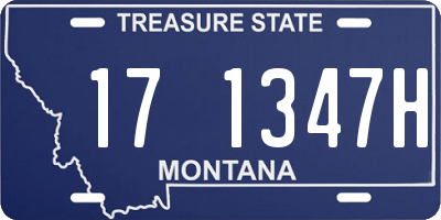 MT license plate 171347H