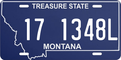 MT license plate 171348L
