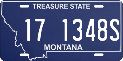 MT license plate 171348S