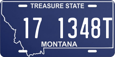 MT license plate 171348T
