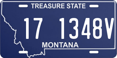 MT license plate 171348V
