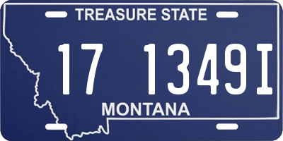 MT license plate 171349I