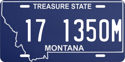 MT license plate 171350M