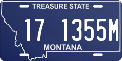 MT license plate 171355M