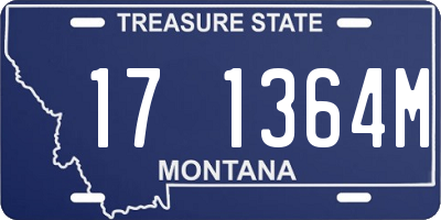 MT license plate 171364M