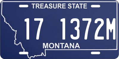 MT license plate 171372M