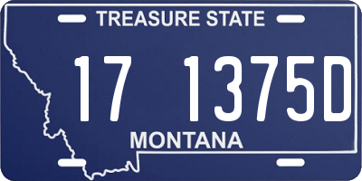 MT license plate 171375D