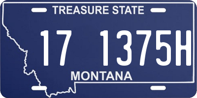 MT license plate 171375H