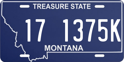 MT license plate 171375K