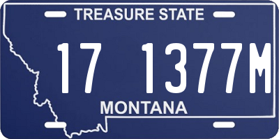 MT license plate 171377M