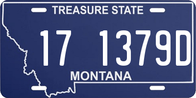 MT license plate 171379D