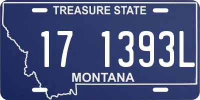 MT license plate 171393L