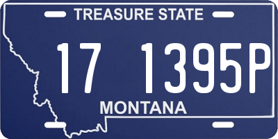 MT license plate 171395P