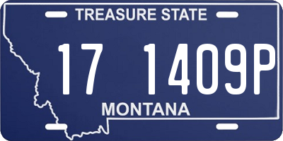 MT license plate 171409P