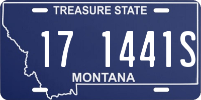 MT license plate 171441S