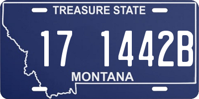 MT license plate 171442B