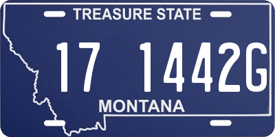 MT license plate 171442G
