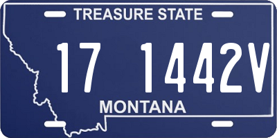 MT license plate 171442V