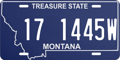 MT license plate 171445W