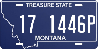 MT license plate 171446P