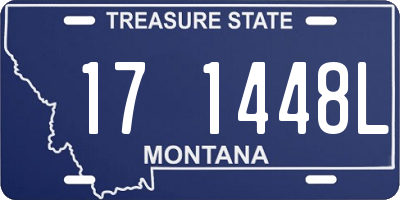 MT license plate 171448L
