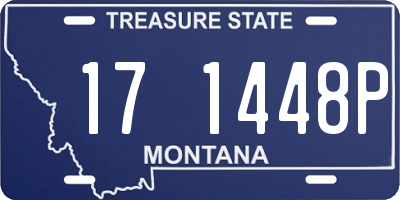 MT license plate 171448P