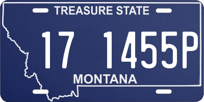 MT license plate 171455P