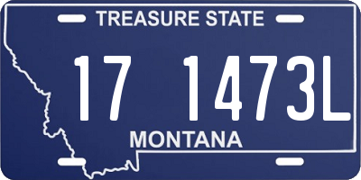 MT license plate 171473L