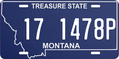 MT license plate 171478P