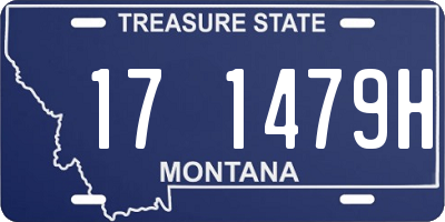 MT license plate 171479H