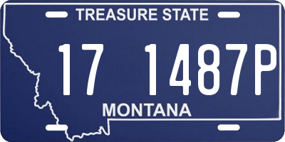 MT license plate 171487P