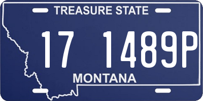MT license plate 171489P