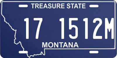 MT license plate 171512M