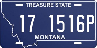 MT license plate 171516P