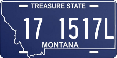 MT license plate 171517L