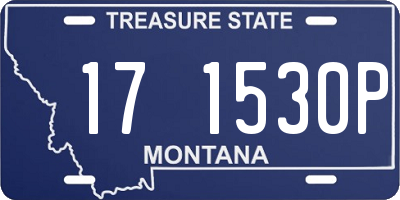 MT license plate 171530P