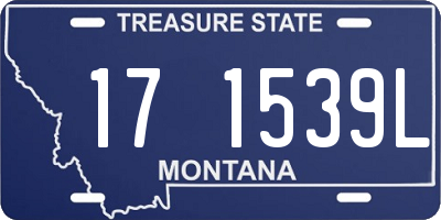MT license plate 171539L