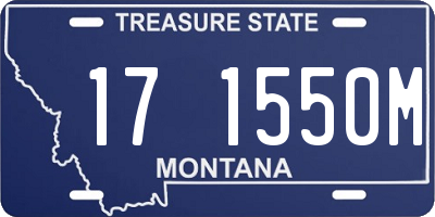 MT license plate 171550M